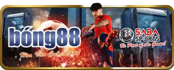 Chính sách ưu đãi và khuyến mãi tại ibet88